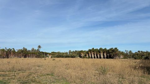 Foto 2 de Terreno en venta en La Foia - Daimés - Asprella, Elche / Elx