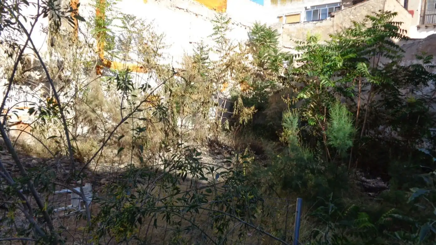 Terrains et parcelles à vendre à Centro, imagen 4