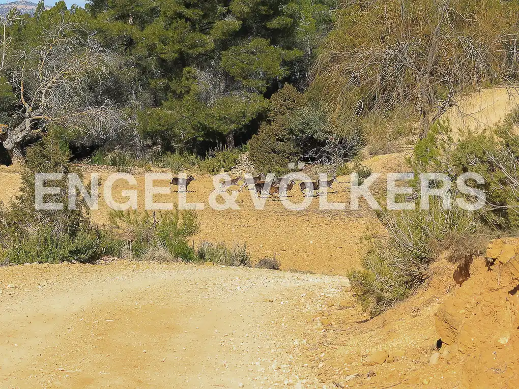 Finca rústica en venda en Ayora amb Calefacció, Jardí privat i Terrassa
