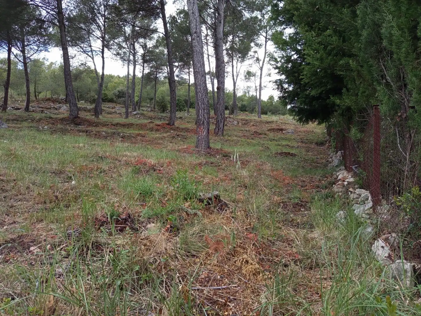 Residencial en venta en Cabrera d'Anoia
