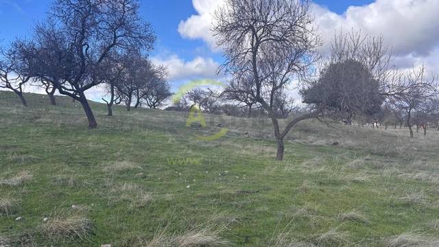 Terreno en Venta en Arrabal Cerro Palos en Los Cigarrales-La Bastida