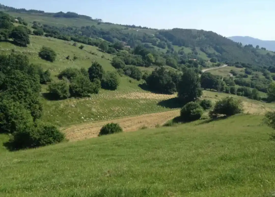 Terreno rustico in vendita a Corvera de Toranzo, imagen 11