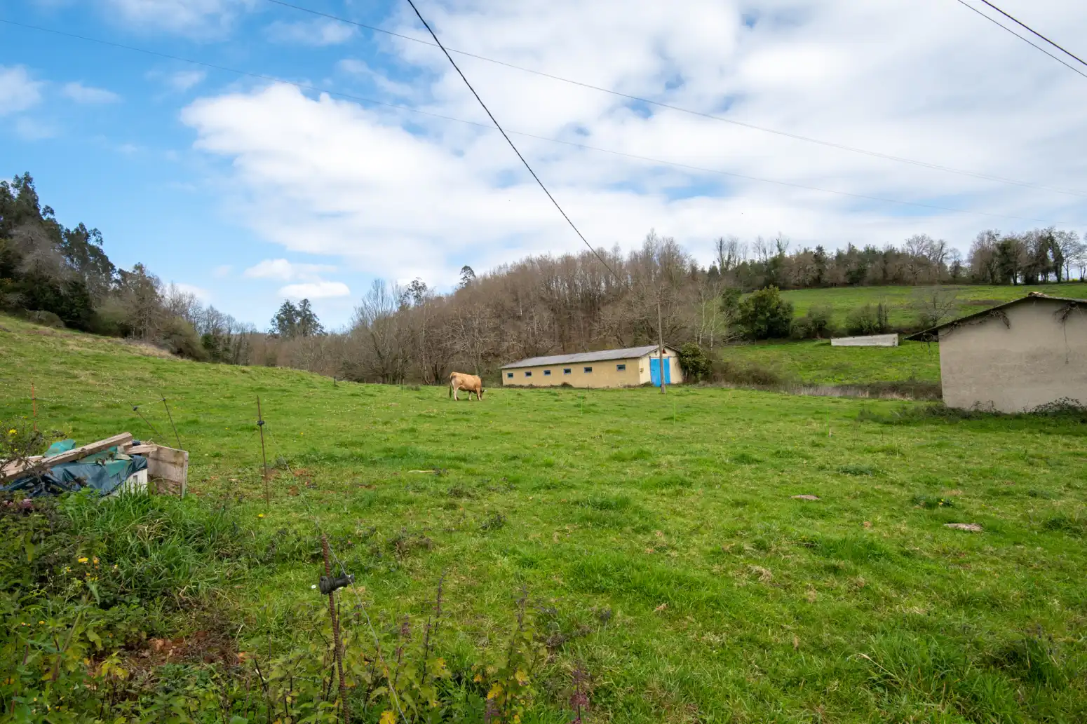 Terreno rustico in vendita a Maoxu, imagen 9