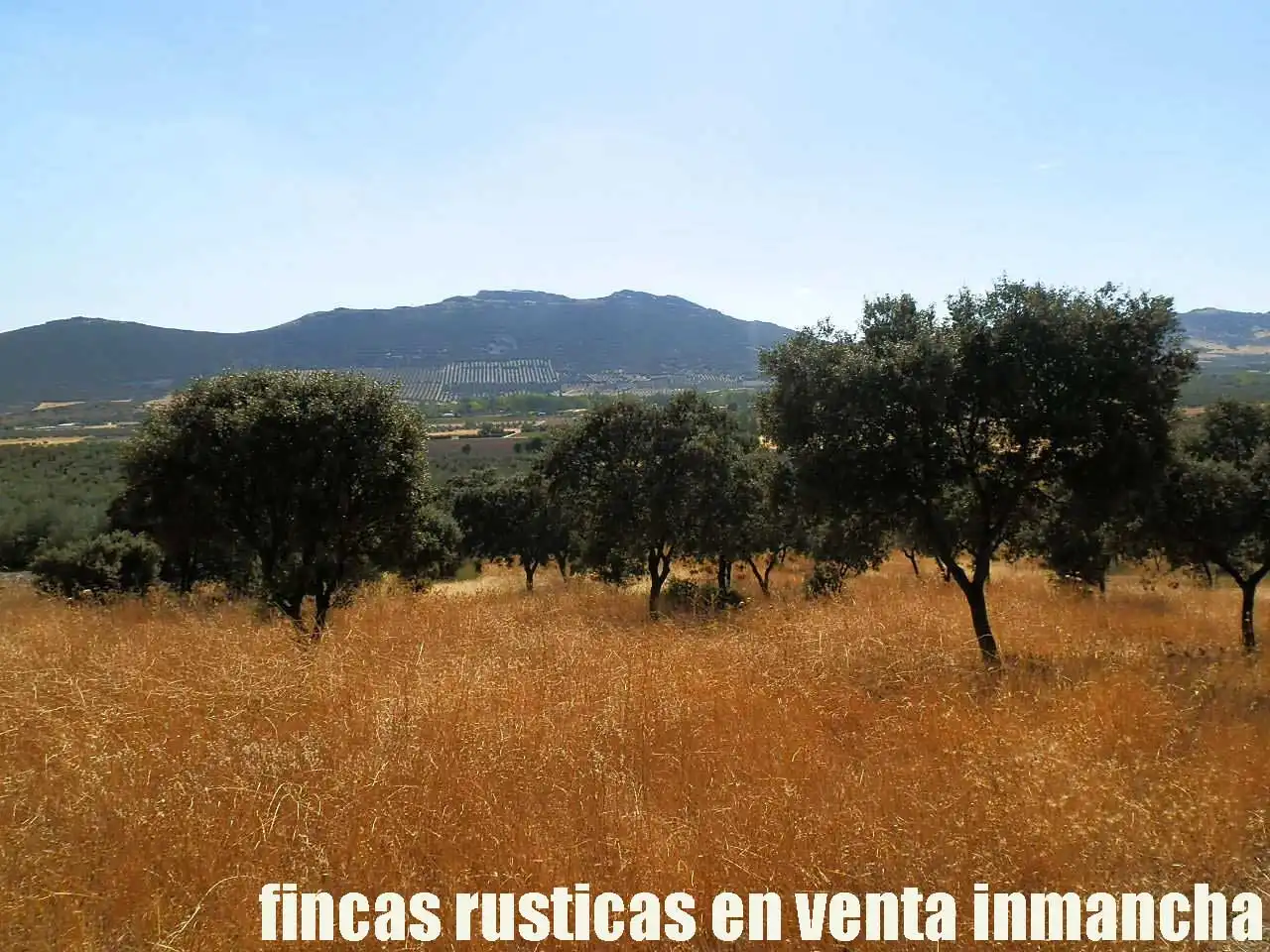 Terreny rústic en venda a Fuente el Fresno, imagen 18