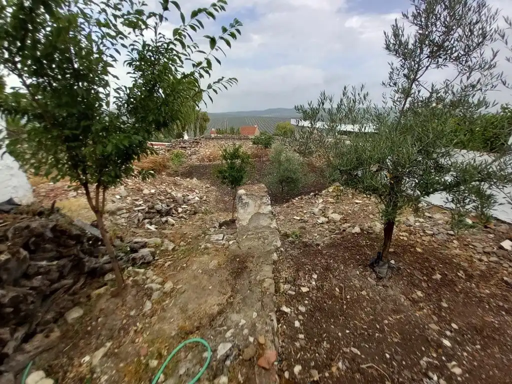 Xalet amb jardí en venda a Alcaudete, imagen 17
