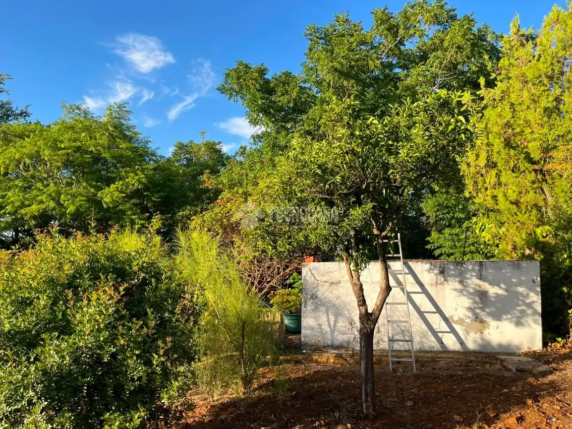 Finca rústica en venta en Carmona