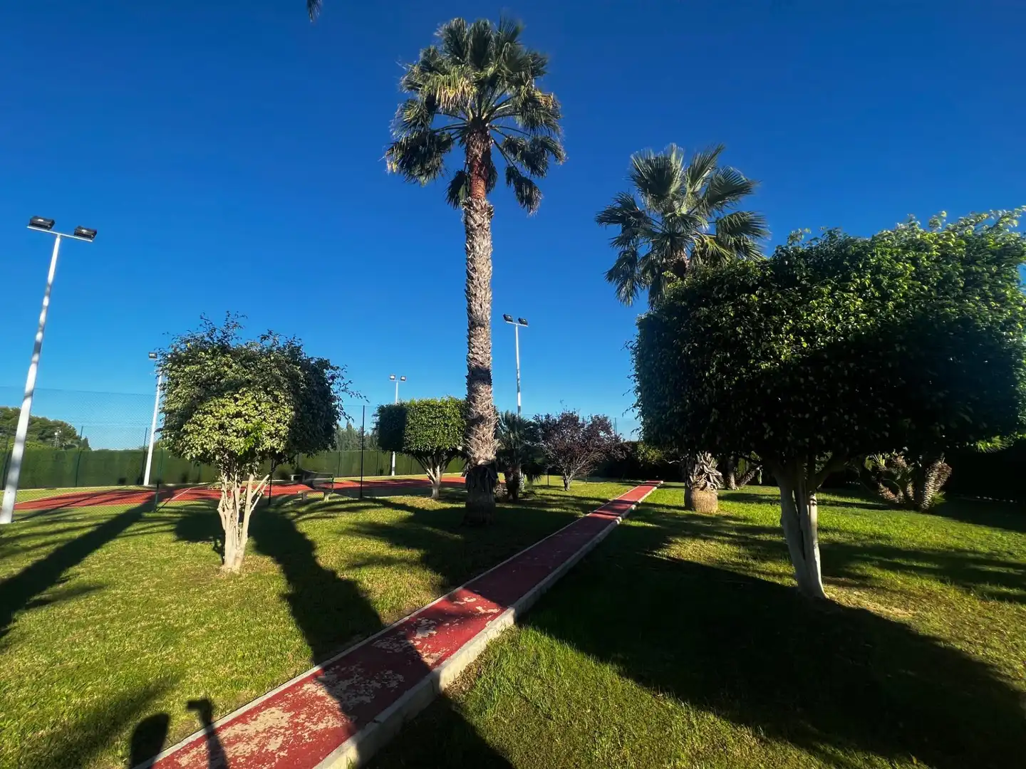 Chalet con piscina en venta en Perleta - Maitino, imagen 11