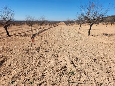 Terreno rustico in vendita a Jumilla