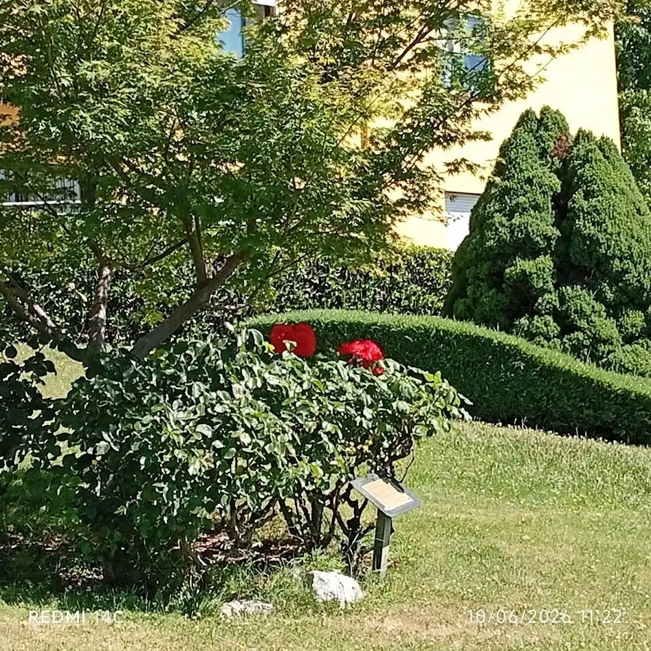 Garten von Wohnung zum Verkauf in San Lorenzo de El Escorial mit Heizung und Abstellraum