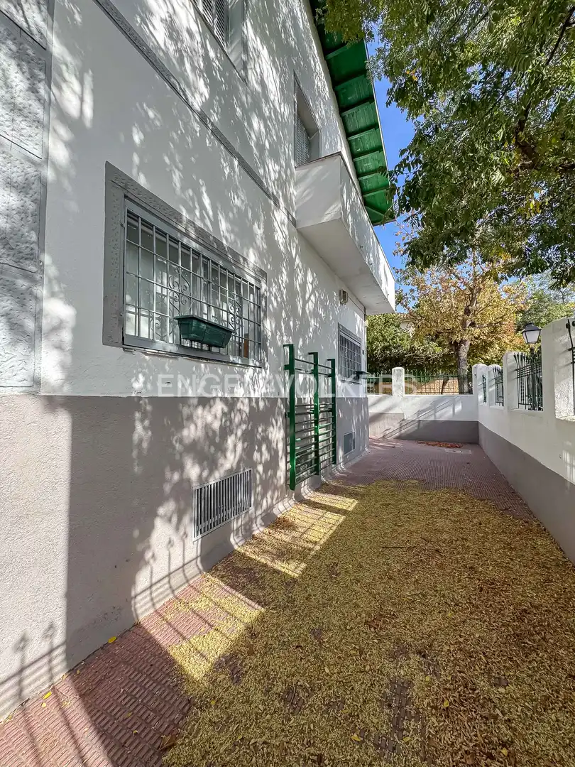 Vista exterior de Casa o chalet en venta en Madrid con Calefacción y Jardín privado