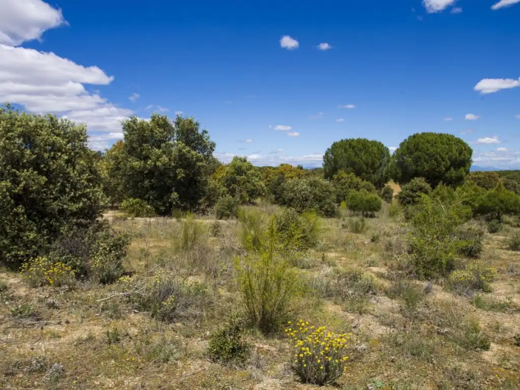 Finca rústica en venda en Navalcarnero