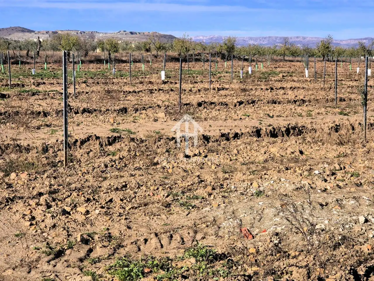 Lands and plots for sale in Lanteira, imagen 70