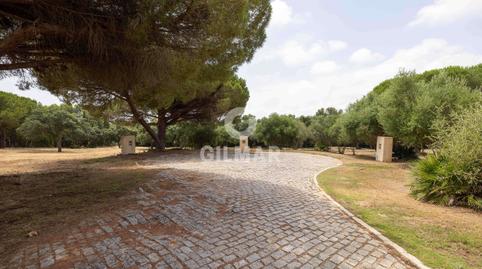 Foto 4 de Residencial en venta en Sotogrande Alto, Cádiz