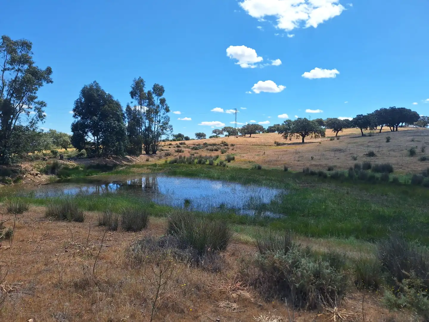 Terreno en venta en Calle Colon, 15, Tharsis