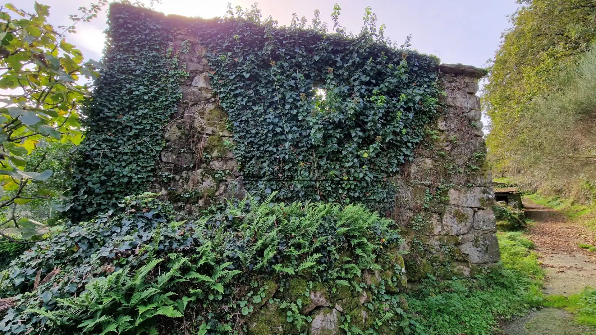 Jardí de Residencial en venda en Ponteareas