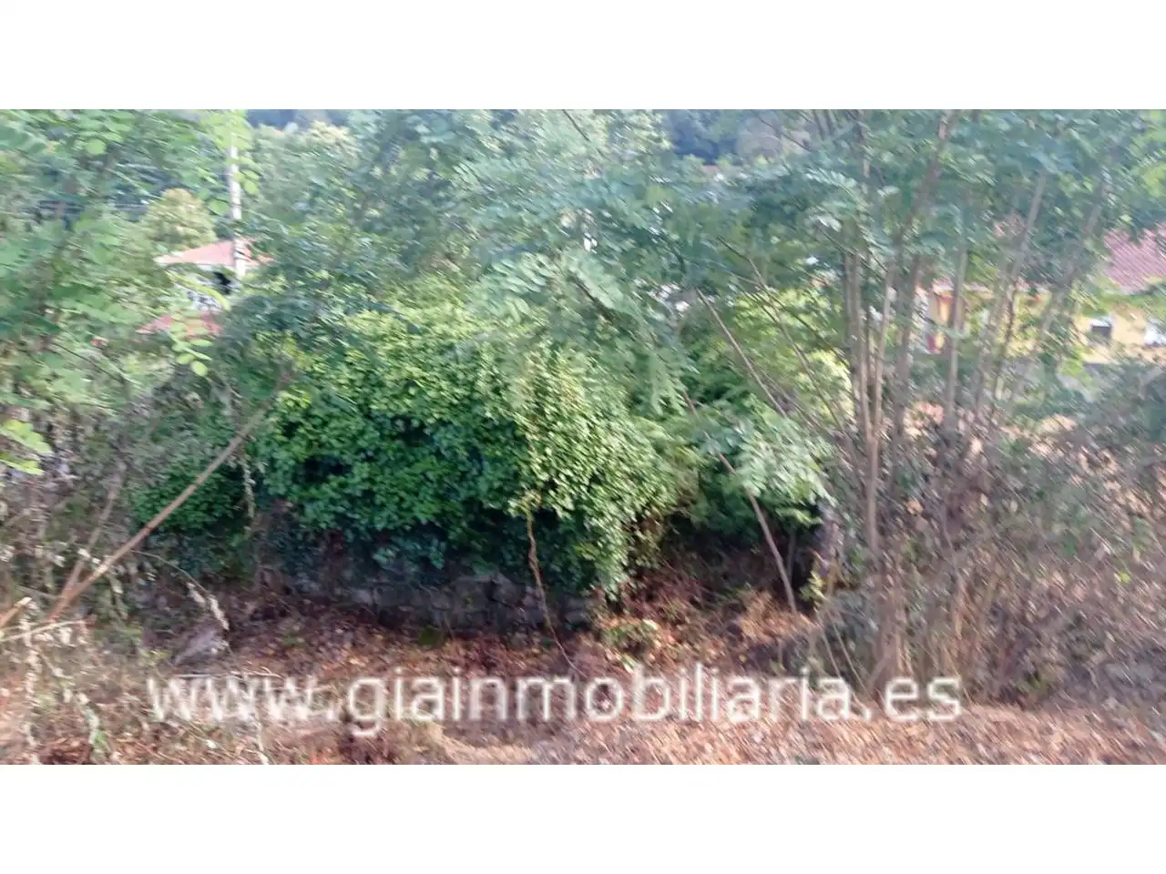 Terrenys i solars en venda a Calle Arcos, imagen 9