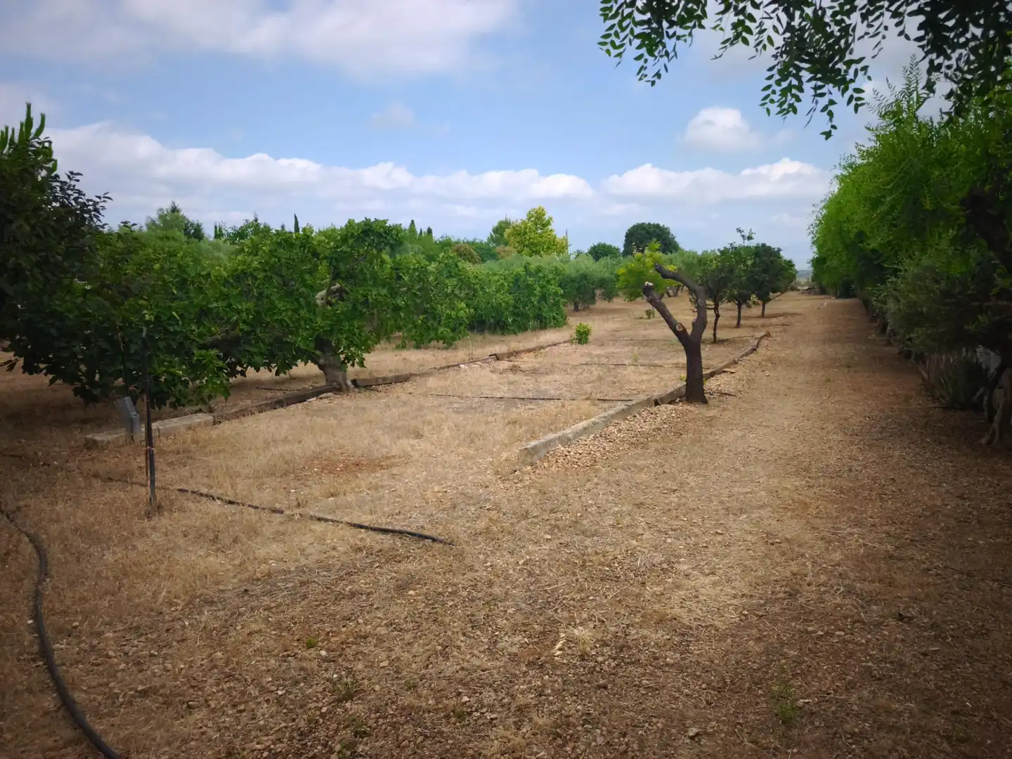 Finca rústica en venda en Masdenverge amb Jardí privat, Traster i Moblat