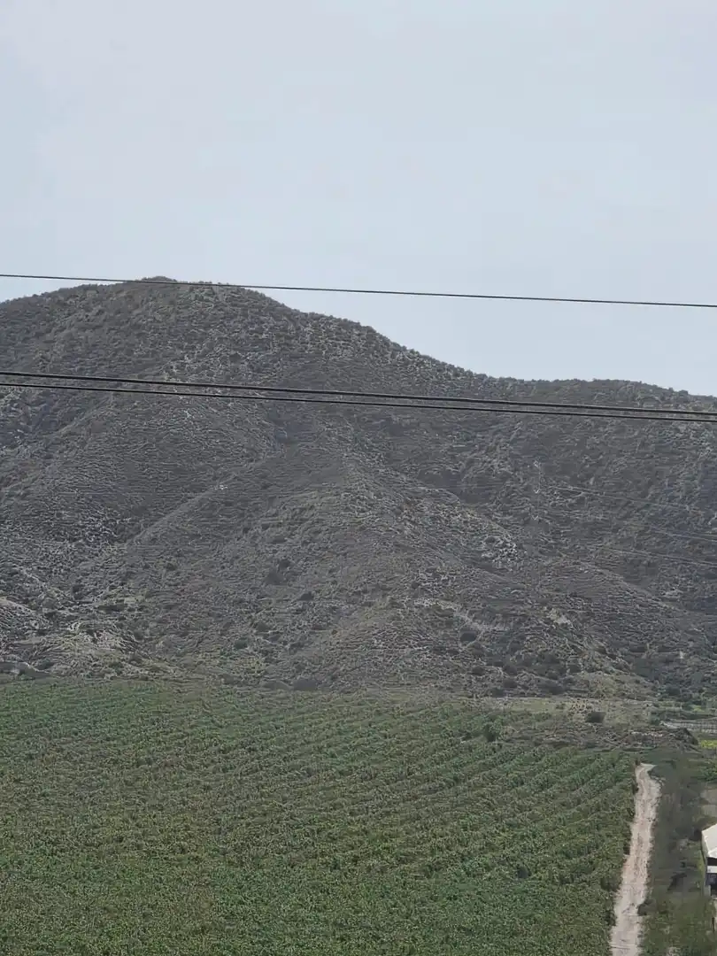 Exterior view of Land for sale in Lorca