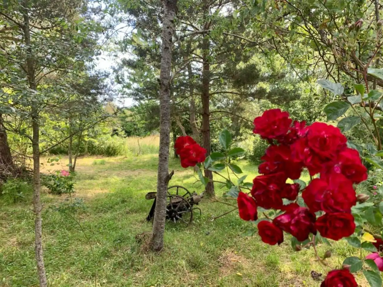 Jardín de Casa o chalet en venta en Arija con Calefacción, Jardín privado y Terraza