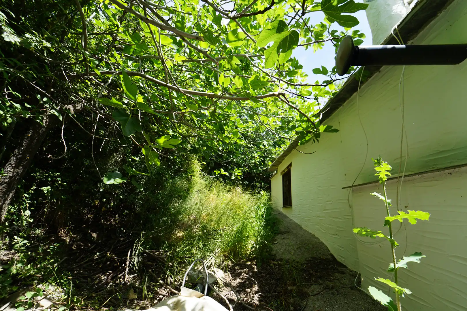 Jardí de Finca rústica en venda en La Taha amb Terrassa i Moblat