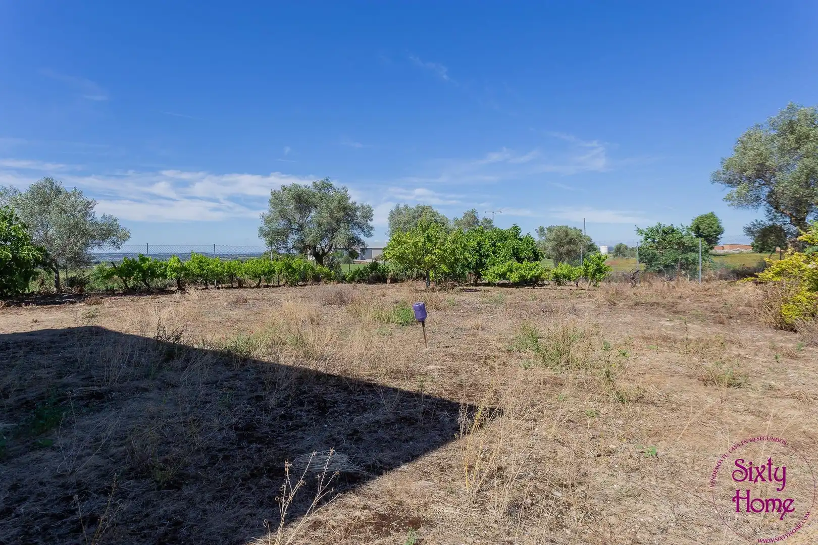 Casa o chalet en venta en Angüés con Jardín privado, Terraza y Trastero