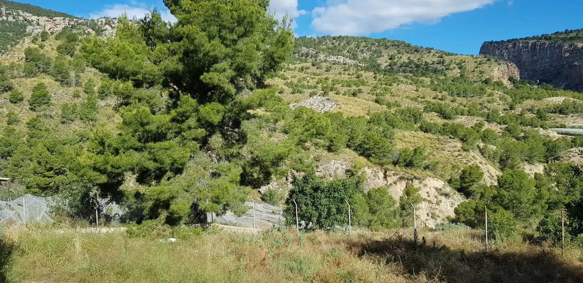 Casa o chalet en venta en Aledo con Terraza y Trastero