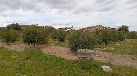 Photo 4 of Land for sale in Ciudad Jardín - Tagarete - El Zapillo,  Almería Capital