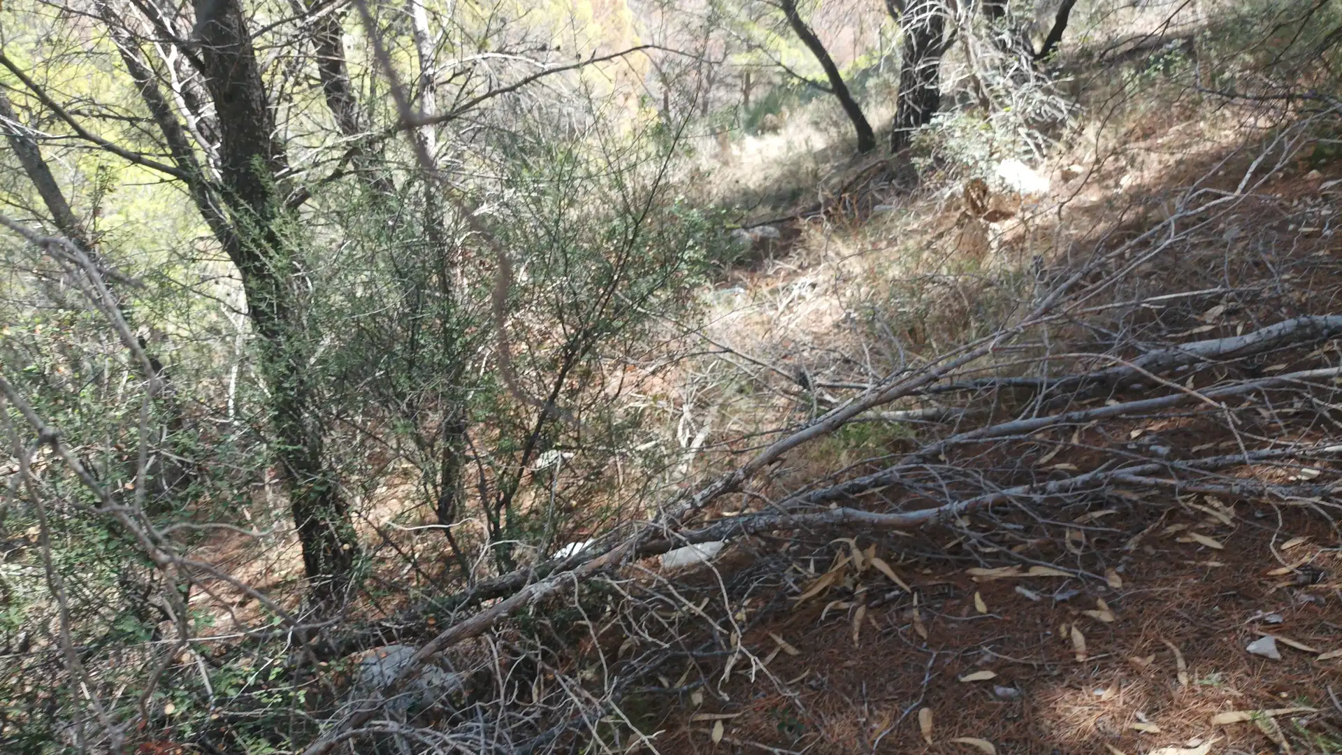 Terrenys i solars en venda a Altea la Vella, imagen 14