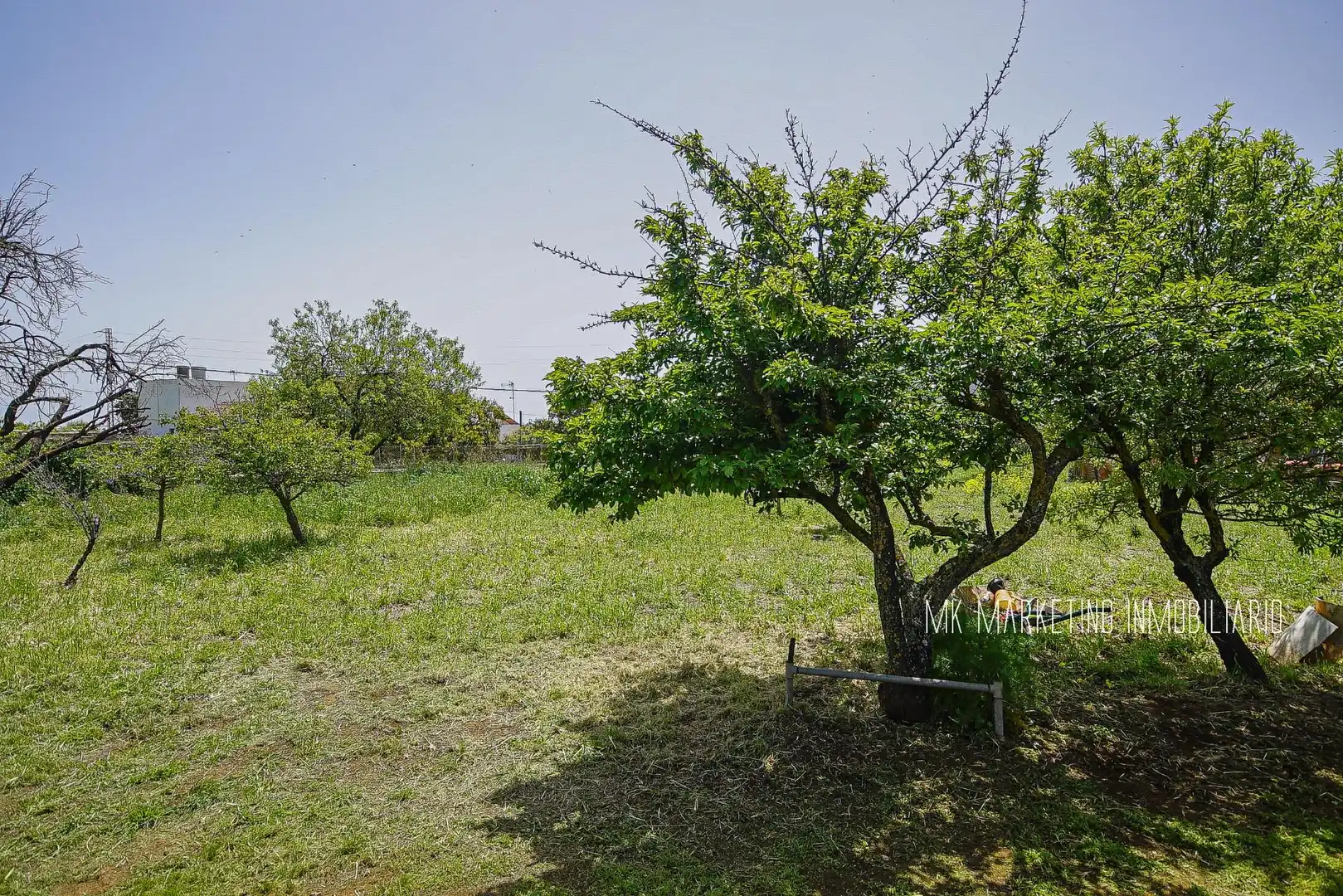 Finca rústica en venda en Valsequillo de Gran Canaria amb Aire condicionat, Terrassa i Piscina