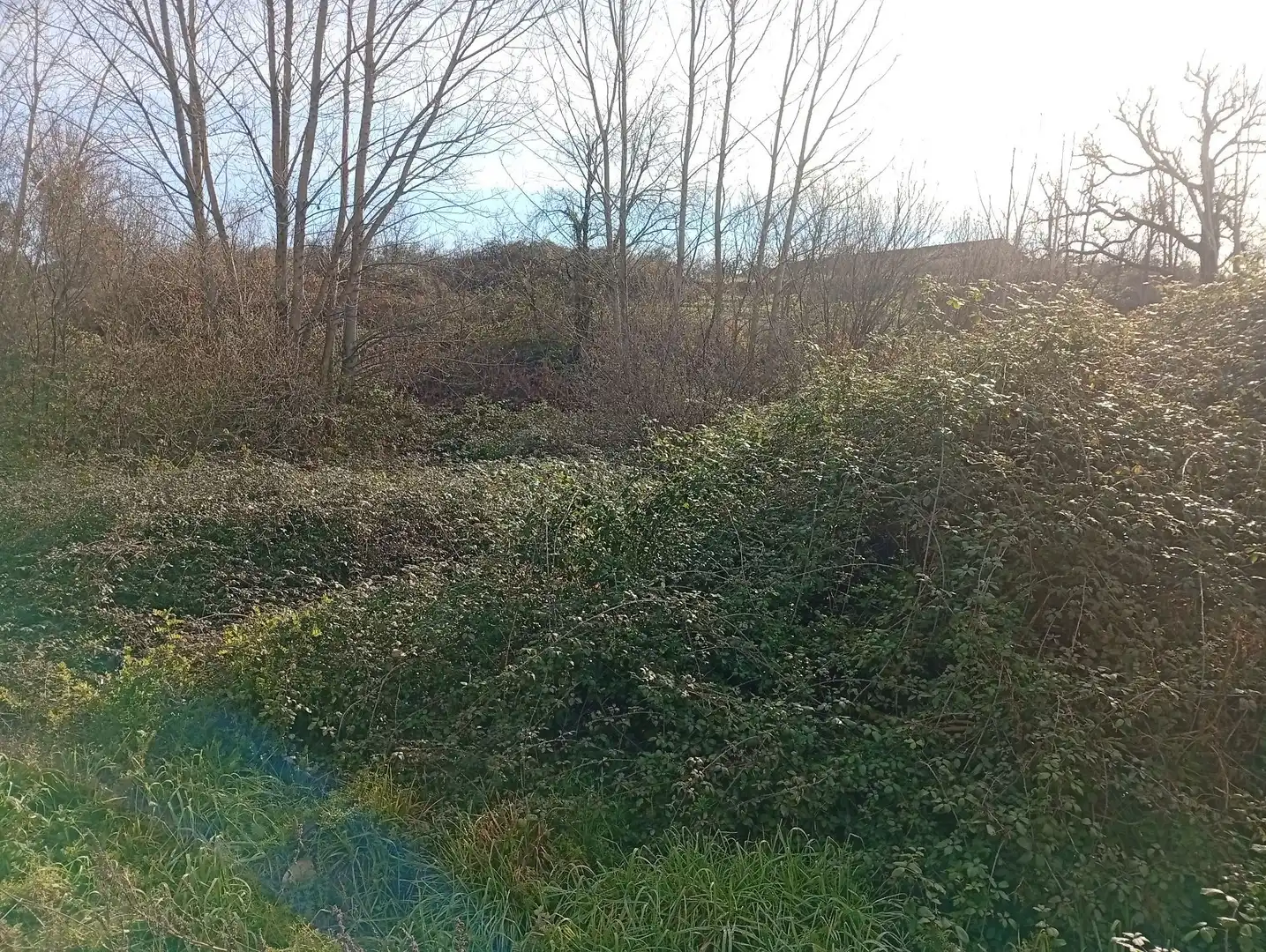 Terreni e lotti in vendita a Valverde de la Vera, imagen 17