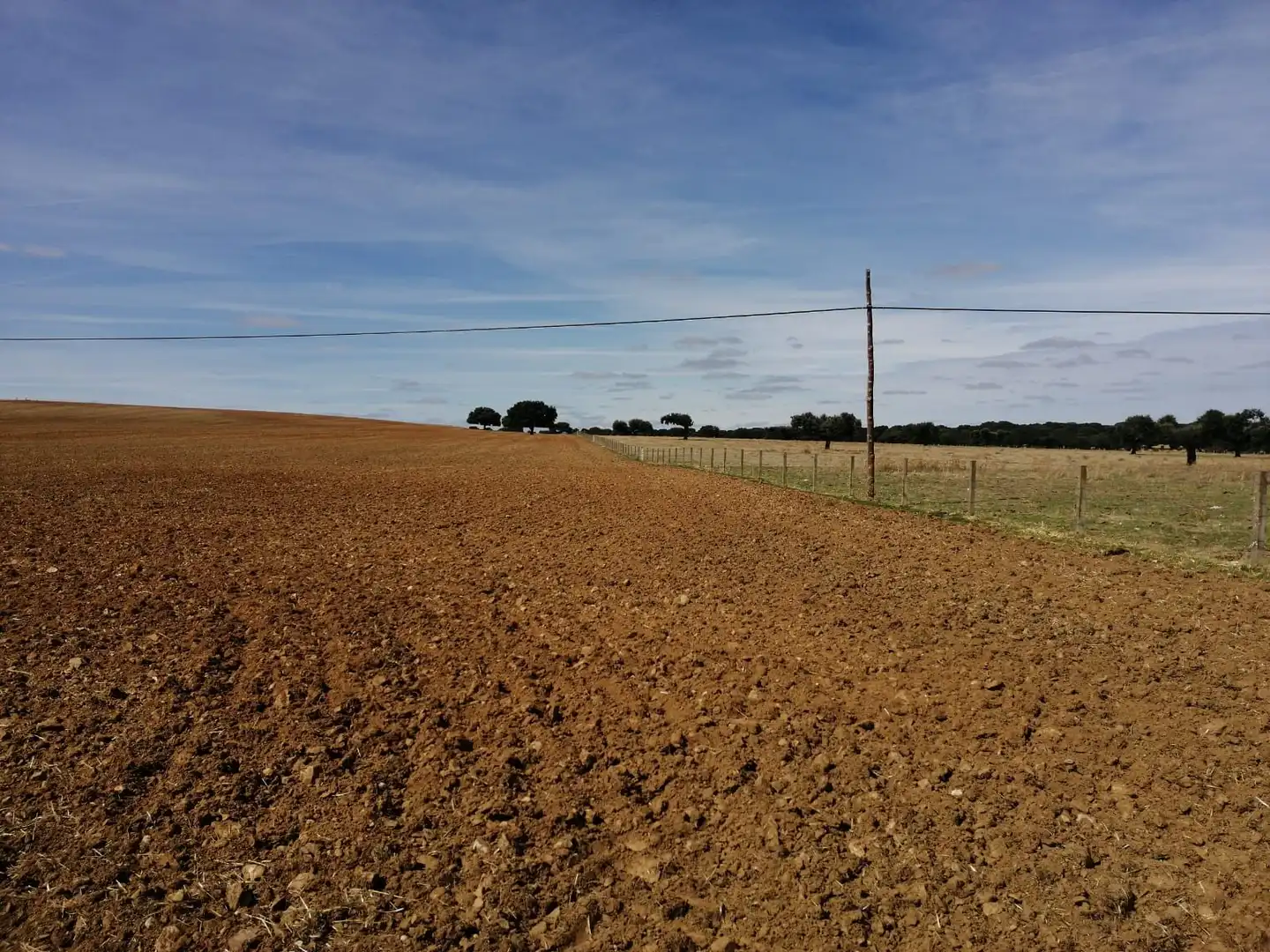 Terreny rústic en venda a Peñaranda de Bracamonte