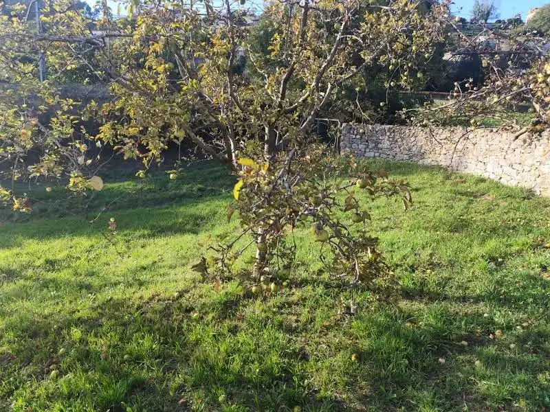 Residential for sale in Proaza, Asturias