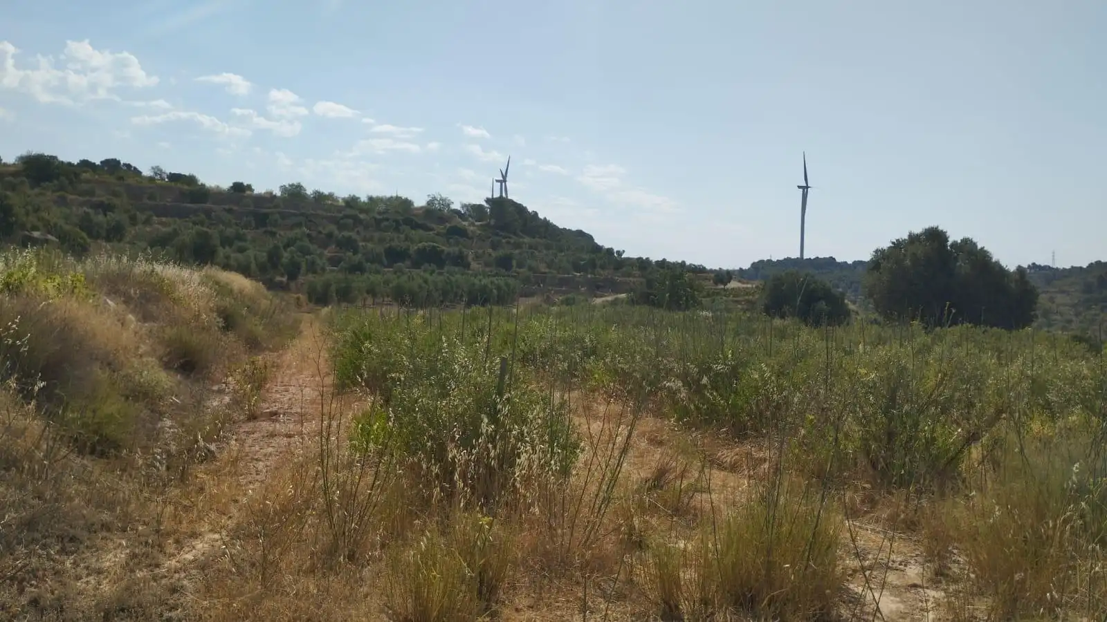 Terreno rústico en venta en Vilalba dels Arcs, imagen 12