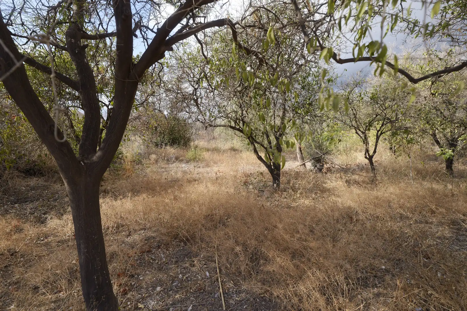 Terreno residencial en venta en Callejón de Beltrán 12, imagen 5