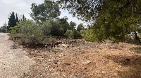 Terreno en venta en LAlcora, imagen 3