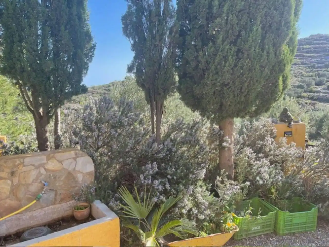 Jardí de Finca rústica en venda en Felix amb Jardí privat, Terrassa i Moblat