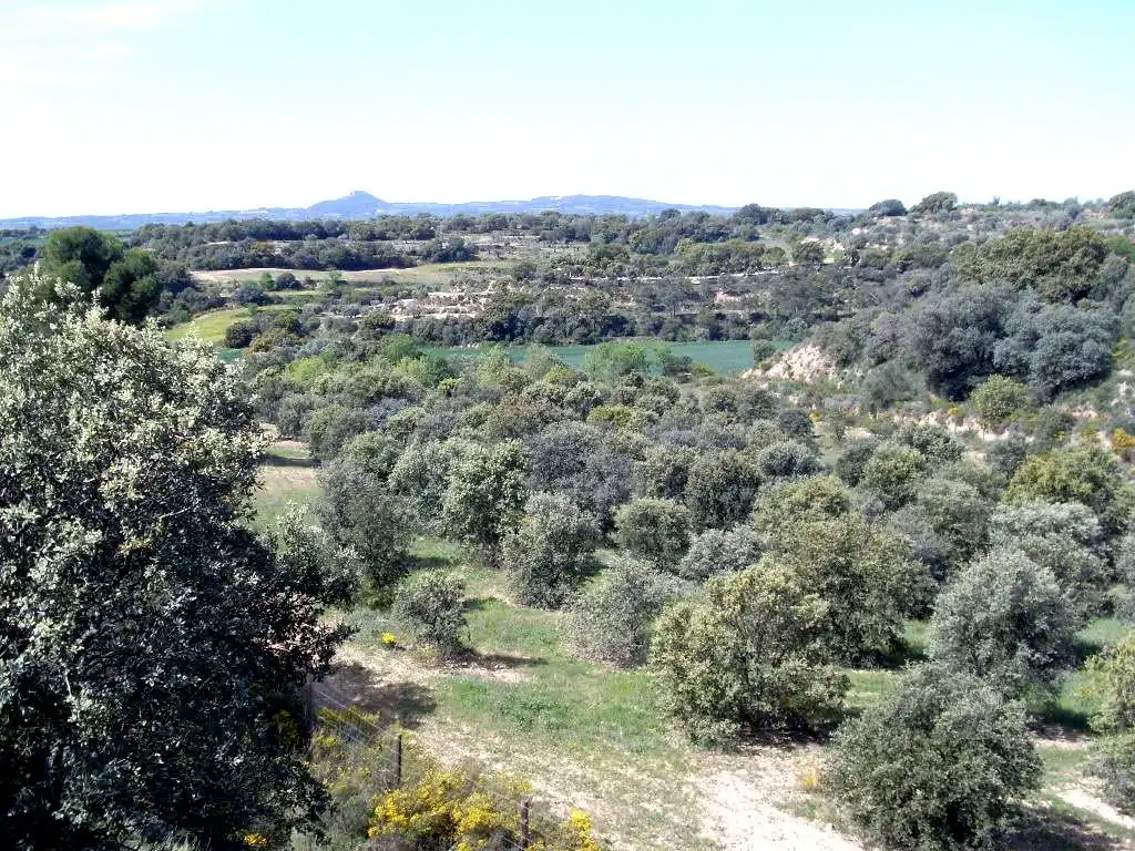 Terreni e lotti in vendita a Barbastro, imagen 4