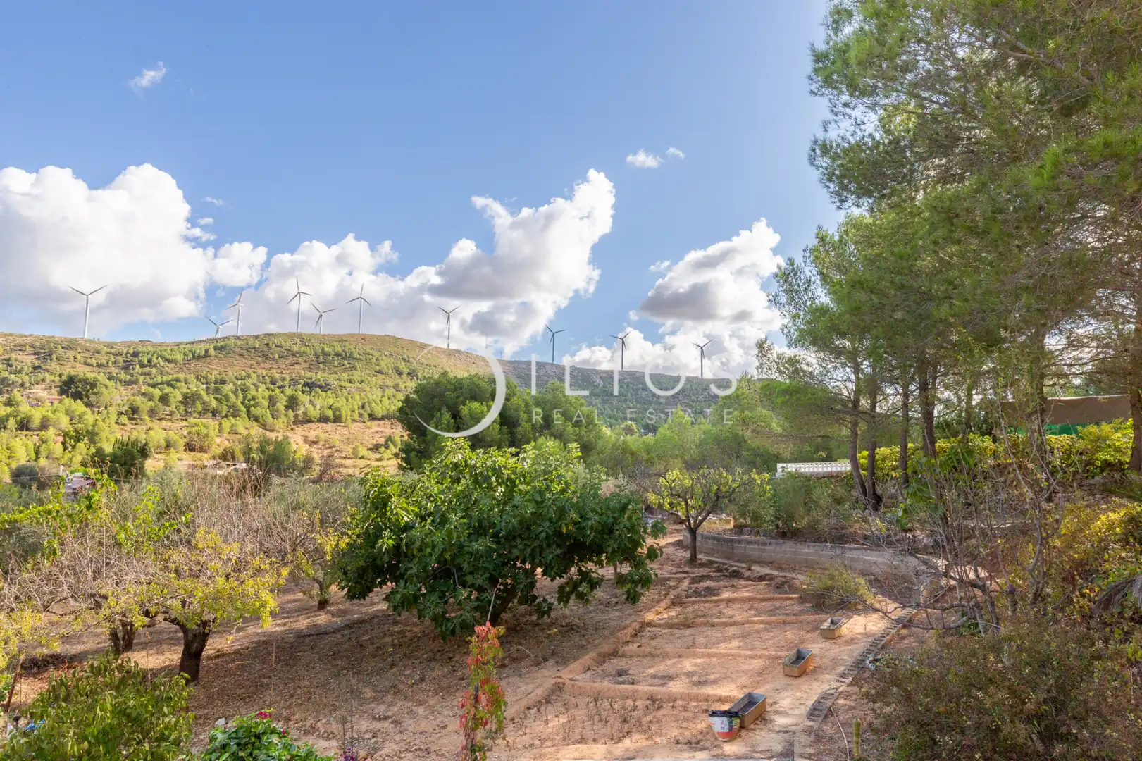 Vista exterior de Finca rústica en venda en Buñol amb Aire condicionat, Calefacció i Jardí privat