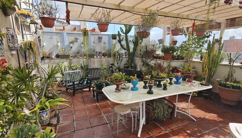 Photo 1 of Attic for sale in Calle Union de Hermanos Prolet, Casines, Cádiz