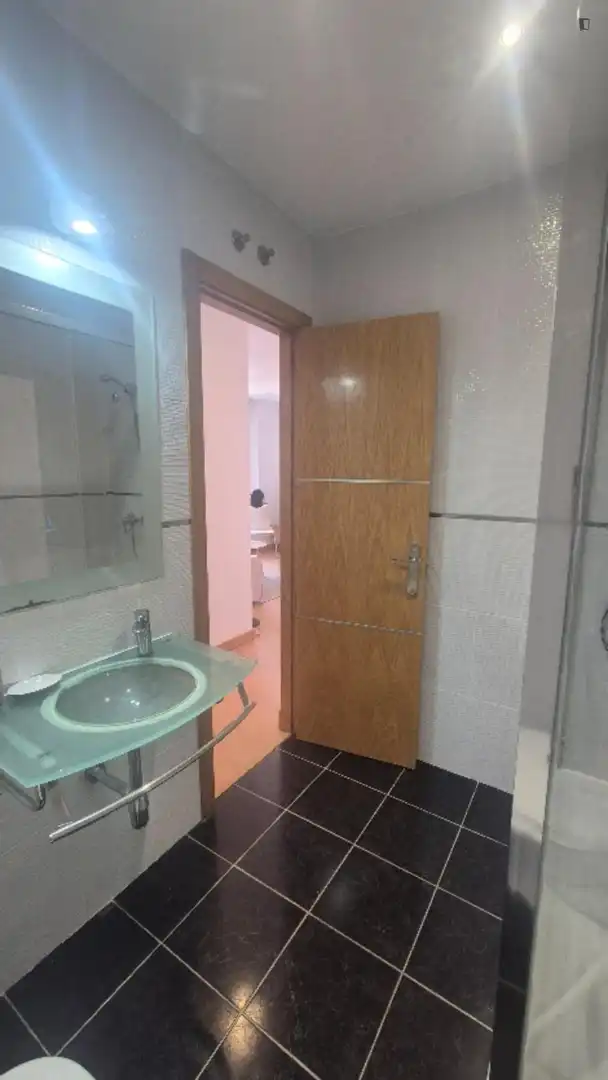Bathroom of Apartments for rent in Madrid  with Air Conditioner, Heating and Furnished