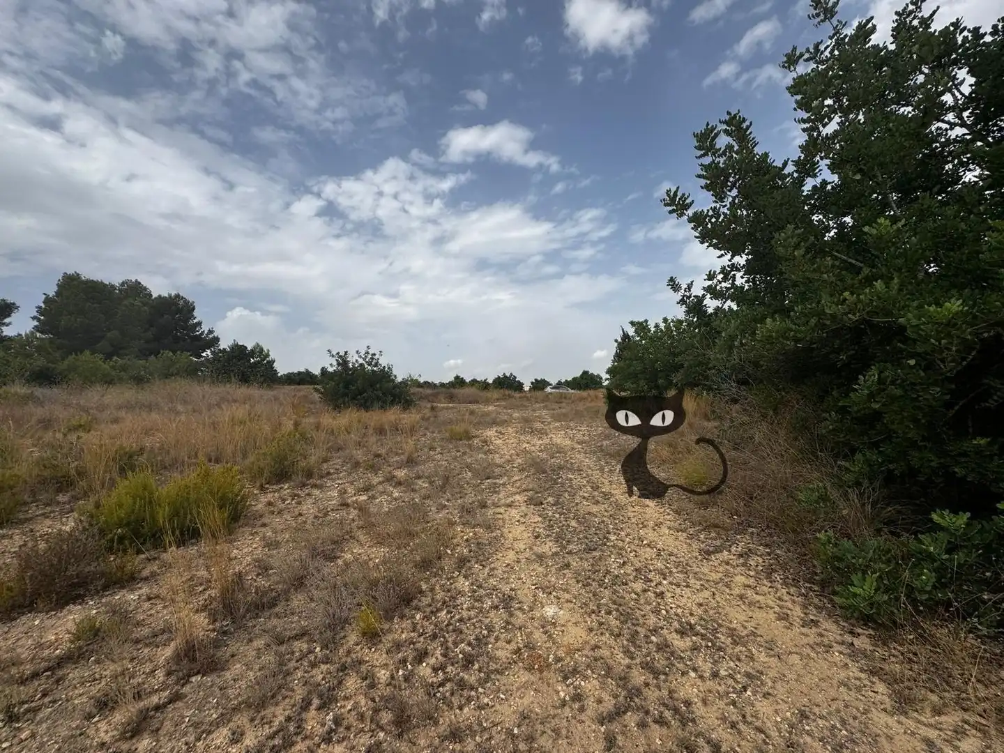 Rural land for sale in Calicanto - Cumbres de Calicanto - Santo Domingo, imagen 17