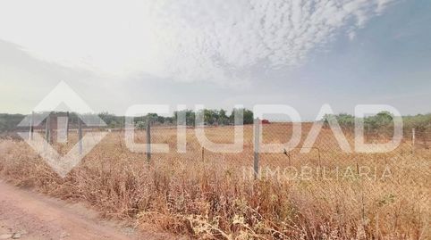 Foto 5 von Country house zum Verkauf in El Cuervo de Sevilla, Sevilla