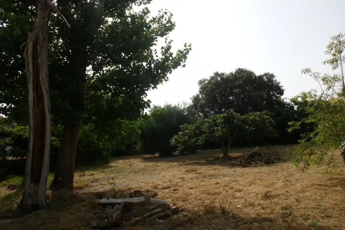 Terreno residencial en venta en L'Olleria, imagen 7