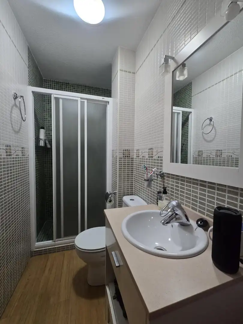 Appartamento con terrazza in vendita a Calle Calle Vicente Aleixandre, imagen 14