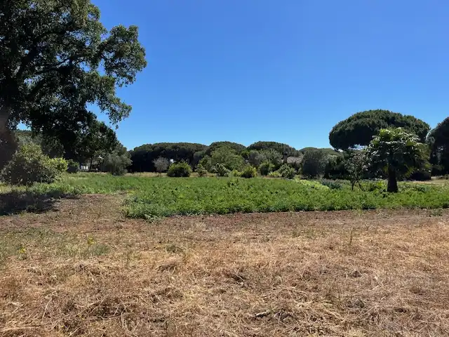 Finca rústica en venta en Vejer de la Frontera