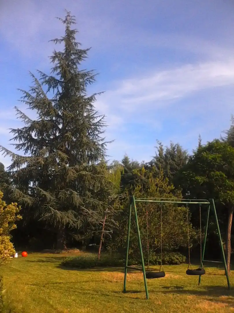 Maison à vendre à Grijota, imagen 51