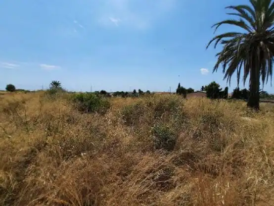 Terrain rustique à vendre à PT GAL-1 LA GALIA. (Altabix ), imagen 9
