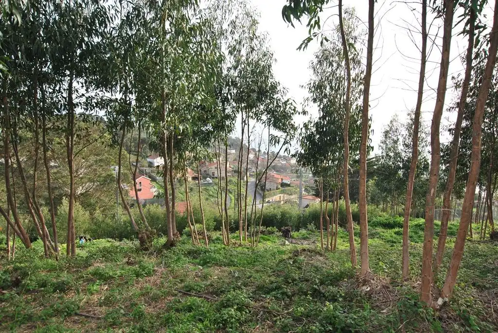 Residential land for sale in N/A, imagen 20