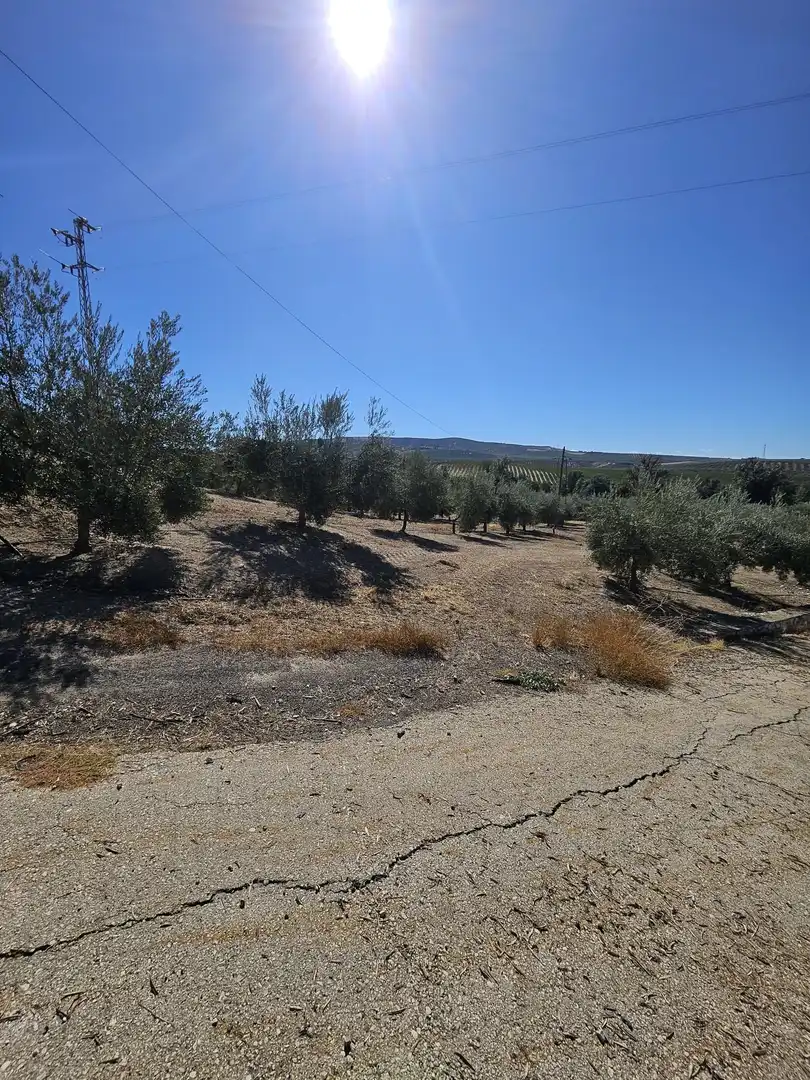 Terrain rustique à vendre à Carretera A-342 MONTURQUE-CABRA, imagen 13