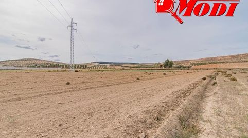 Se vende esta bonita haza de tierra de secano en termino de la Malaha, camino hacia Otura. Son dos fanegas de tierra  9.395 m  don, imatge 5
